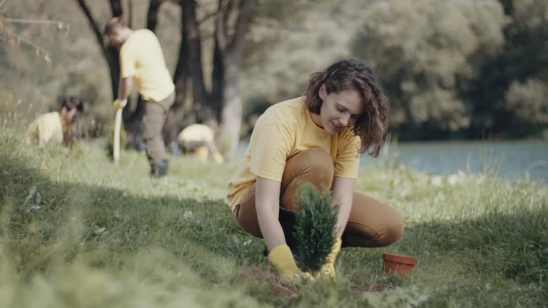 Best Tree Fertilization  in Cowarts, AL