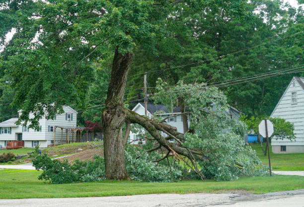 Best Utility Line Clearance  in Cowarts, AL